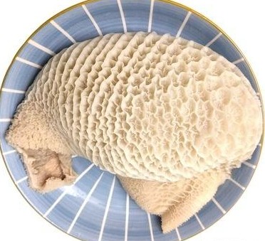 金钱肚