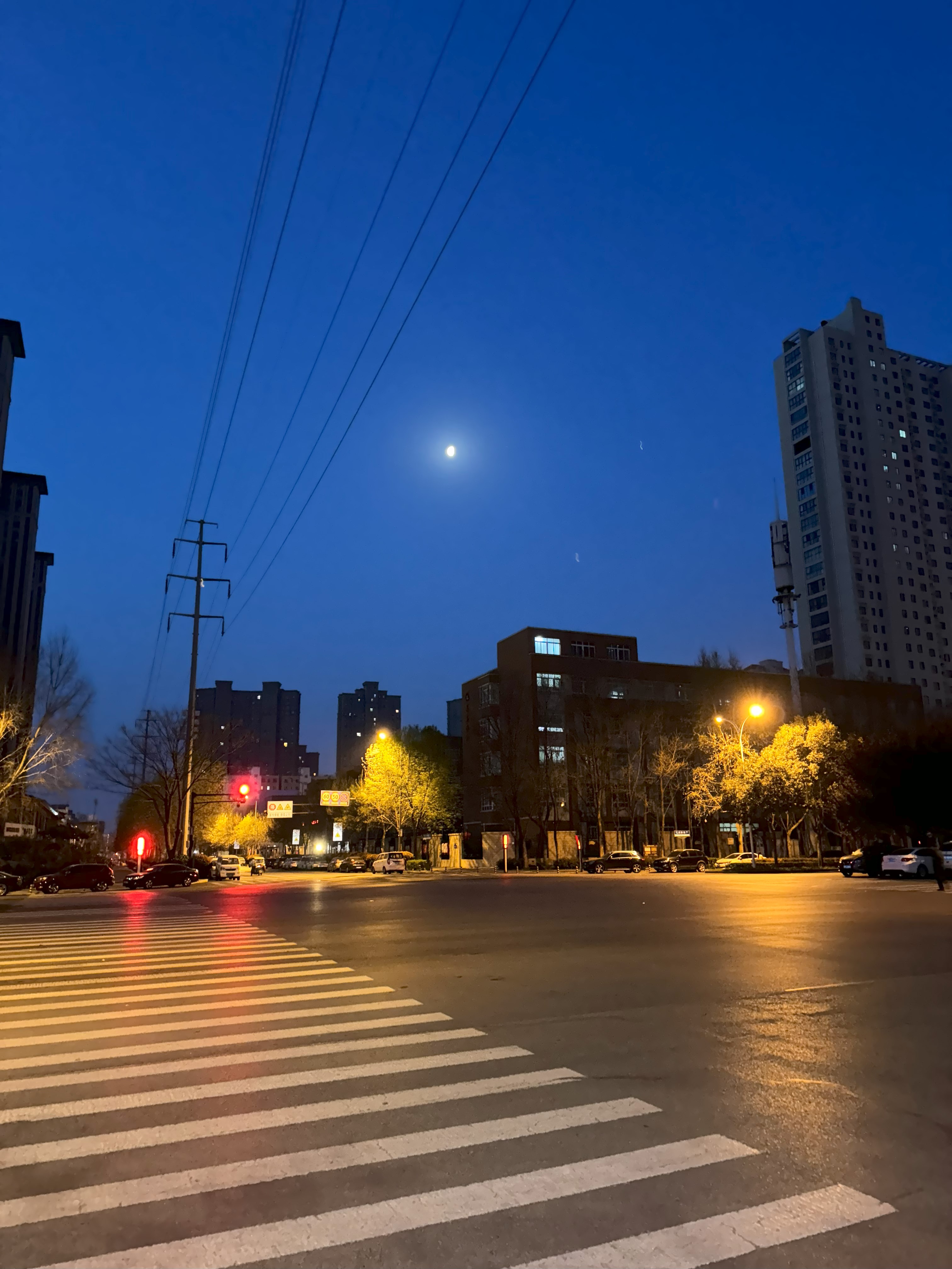 这是图片
